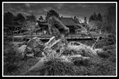 20250225-drieluiken-ALFRED