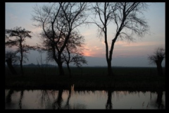 20250225-uitdaging-HILDA