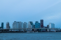 Deze foto is gemaakt door Marijke Hondebrink