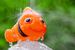 In de regen